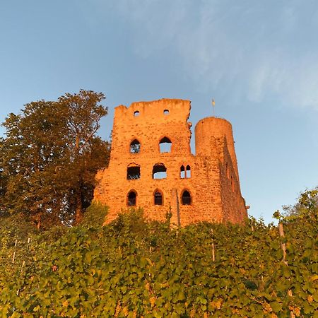 Hotel Scheid Schriesheim Bagian luar foto