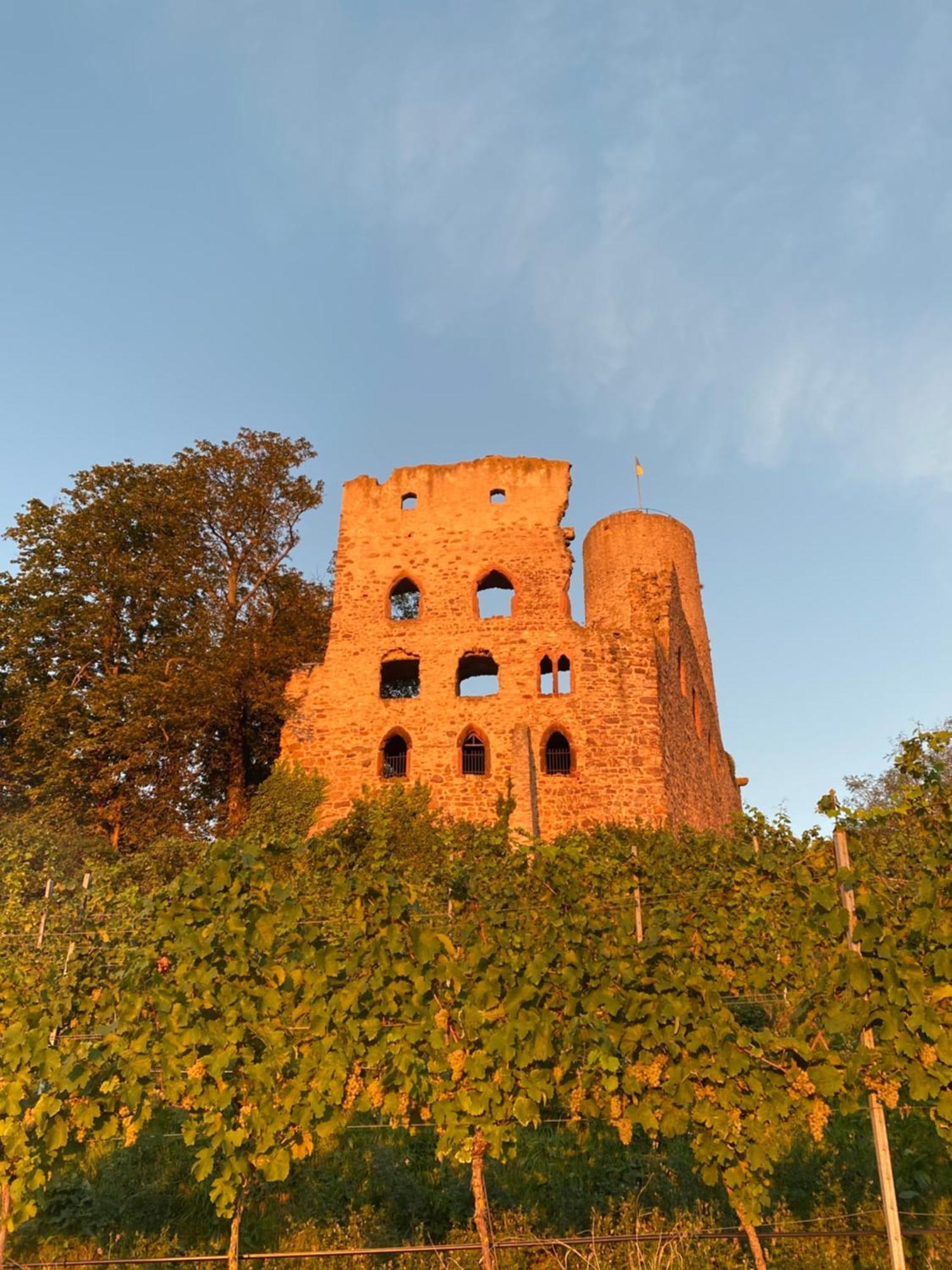 Hotel Scheid Schriesheim Bagian luar foto