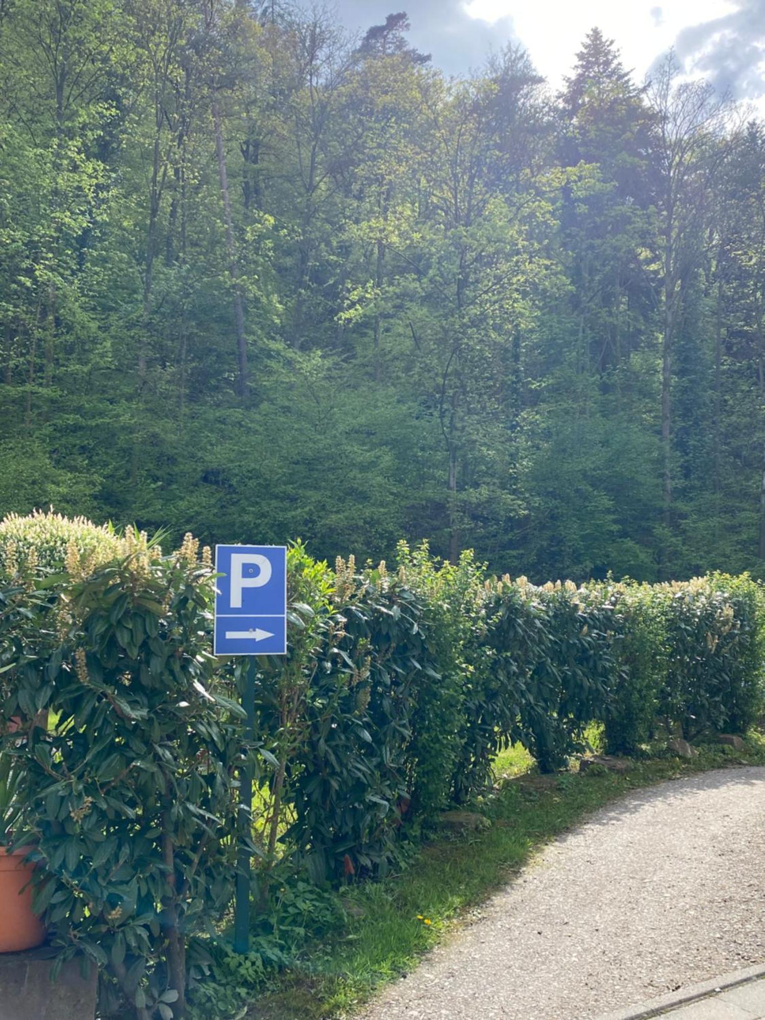 Hotel Scheid Schriesheim Bagian luar foto