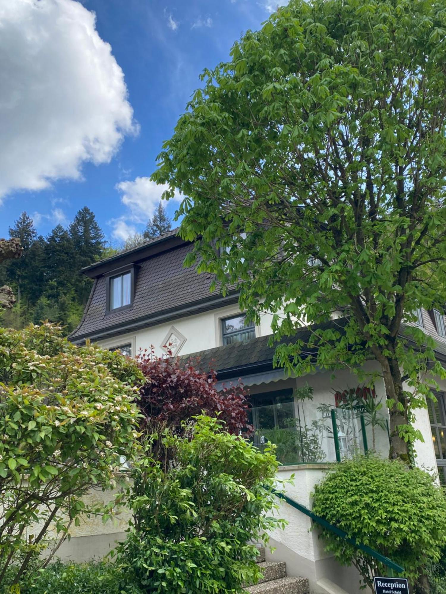 Hotel Scheid Schriesheim Bagian luar foto